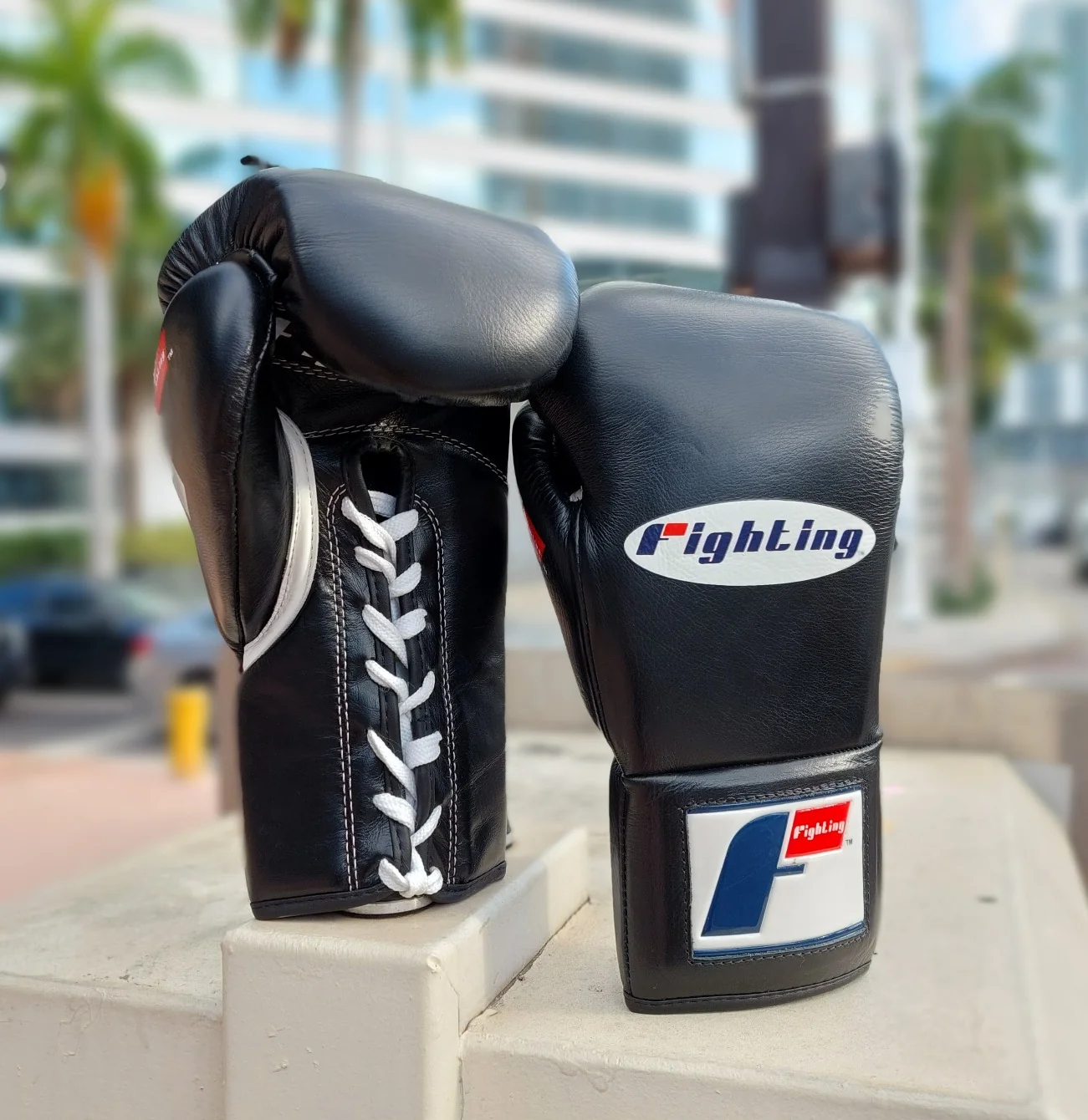 FIGHTING GLOVES PRO FIGHT CERTIFIED -BLACK - Image 2